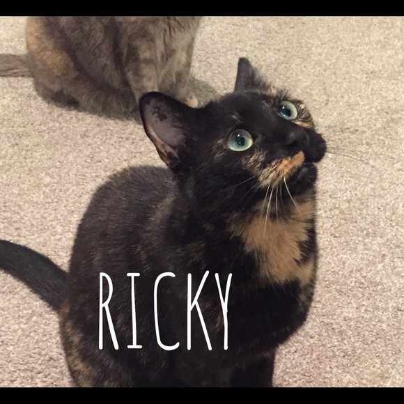 Smoke-free, pet friendly home! - Picture 4 of 5